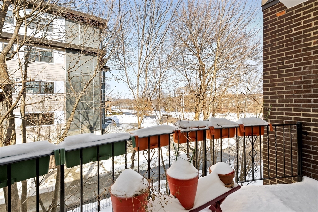 459 Willard St # 303