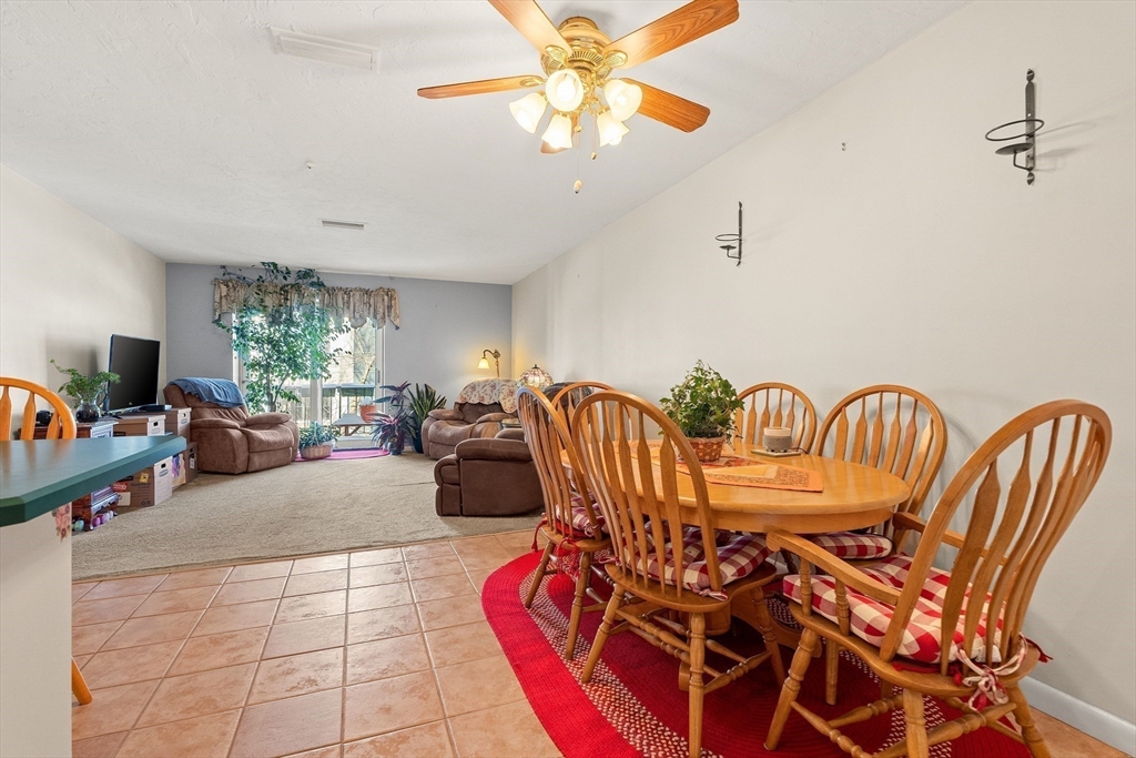 459 Willard St # 303