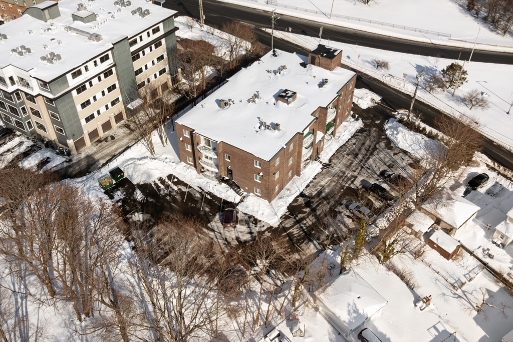 459 Willard St # 303