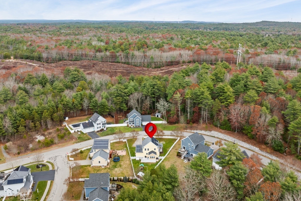 42 Christmas Tree Ln.