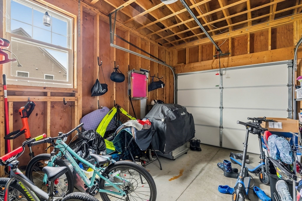 42 Christmas Tree Ln.