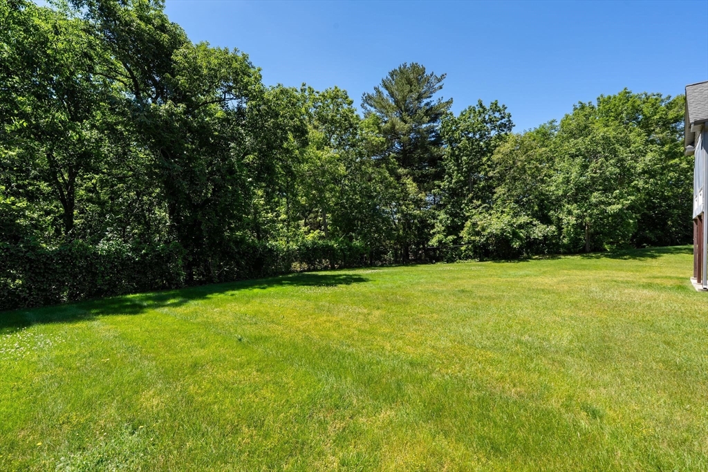 894 Liberty Street # 6