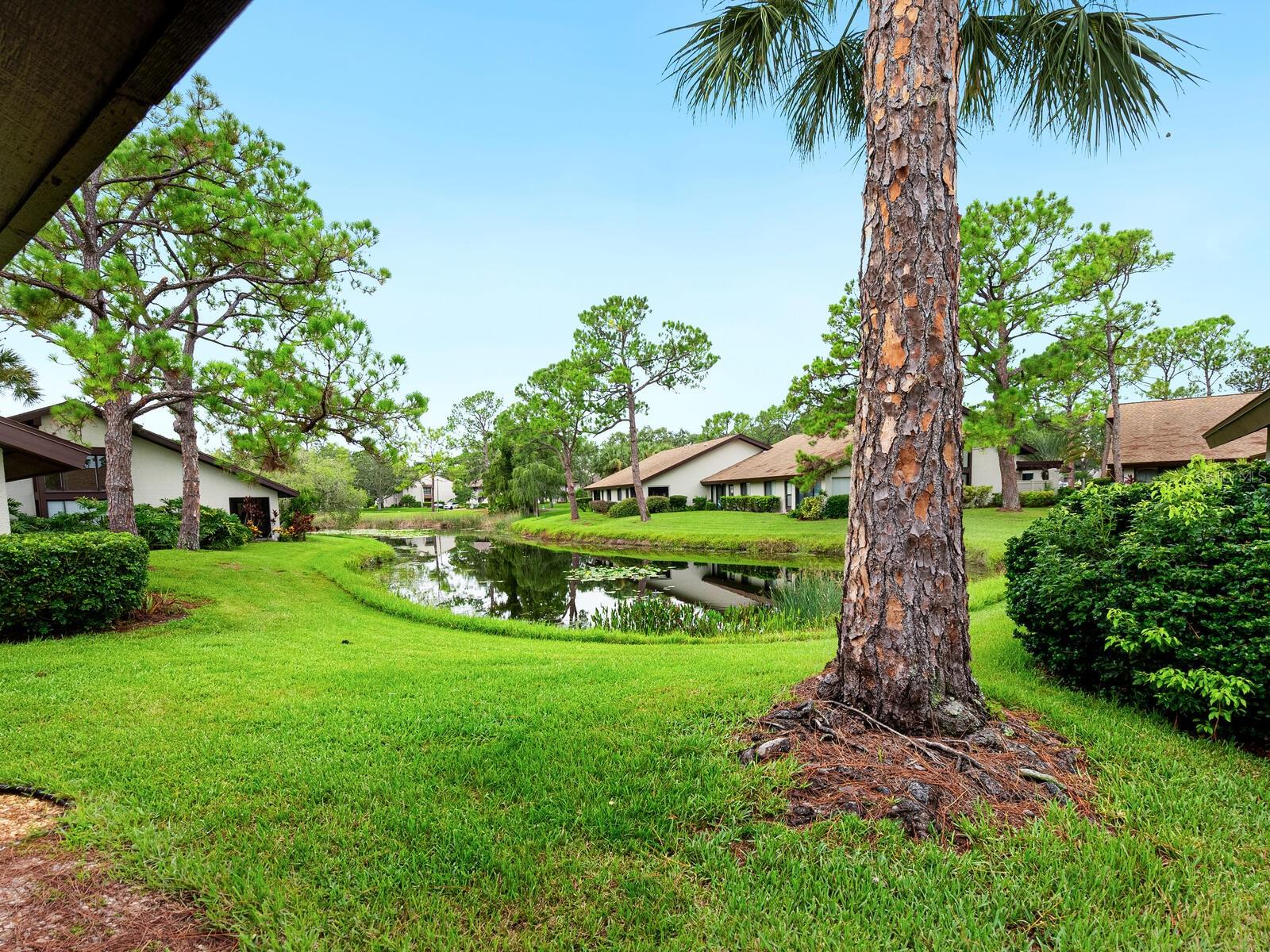 3131 WINDRUSH BOURNE #55