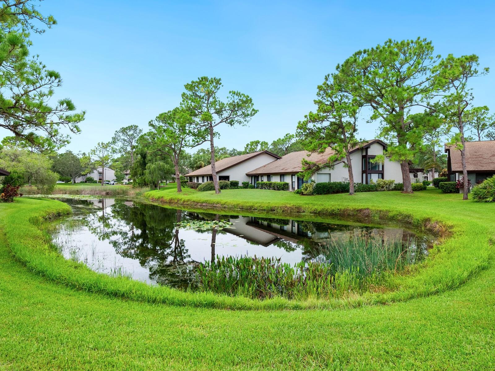 3131 WINDRUSH BOURNE #55