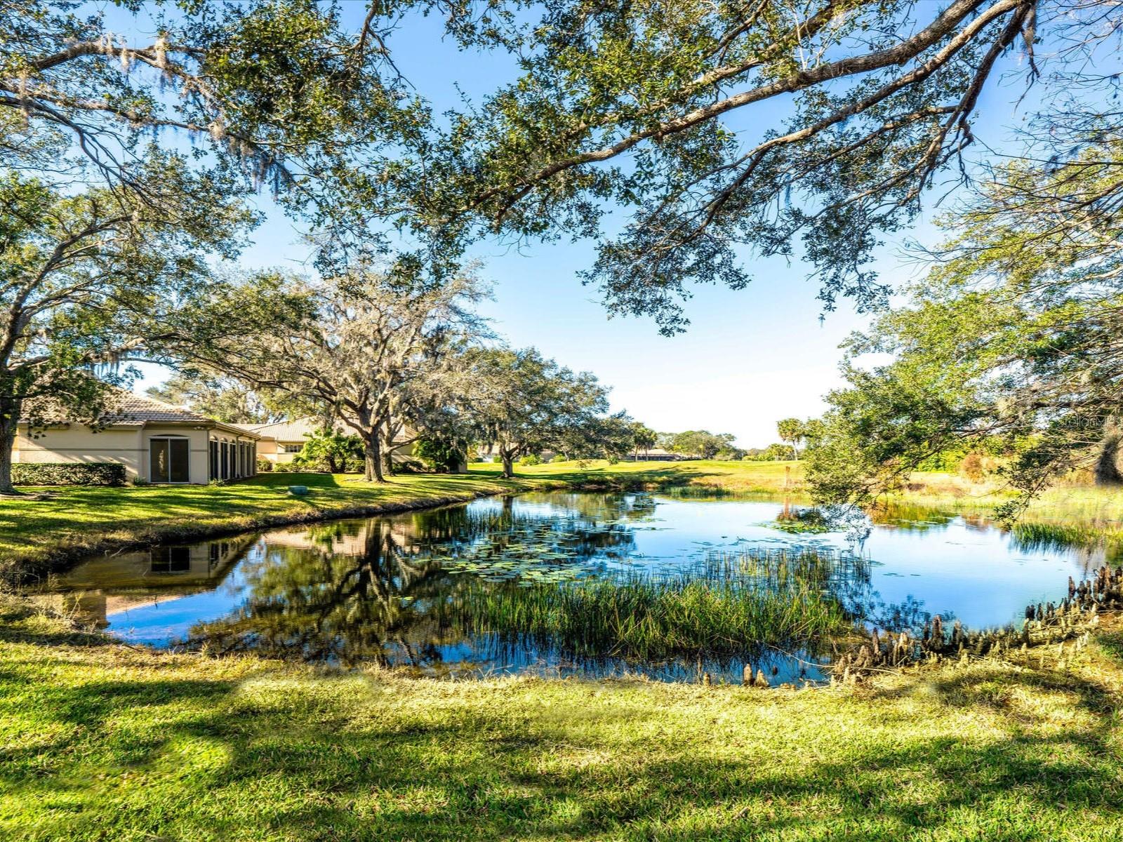 3349 HADFIELD GREENE #52