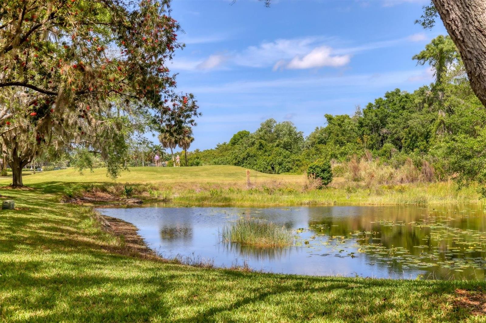 3343 HADFIELD GREENE #51