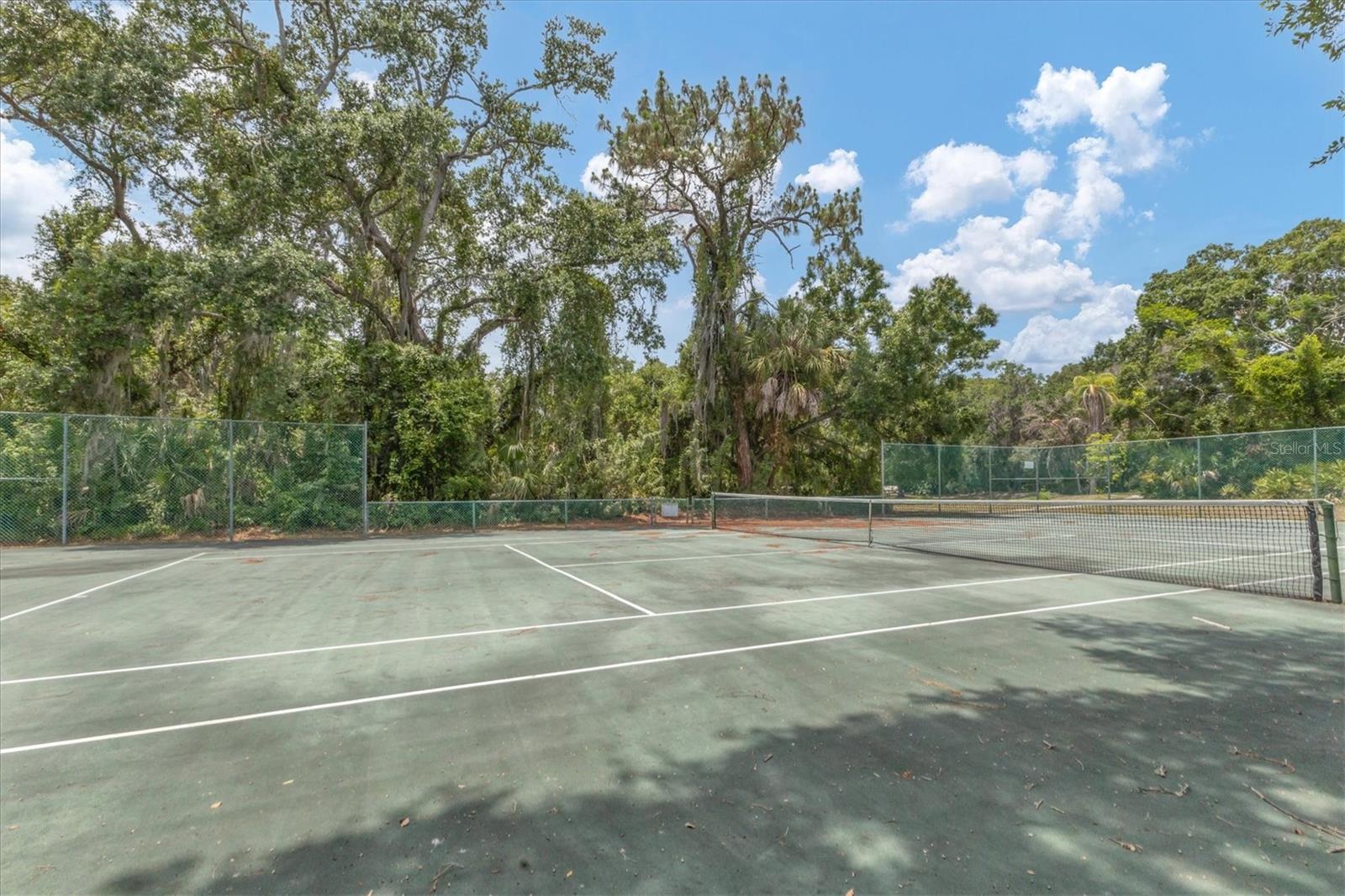 4356 WOODMANS CHART LN #141