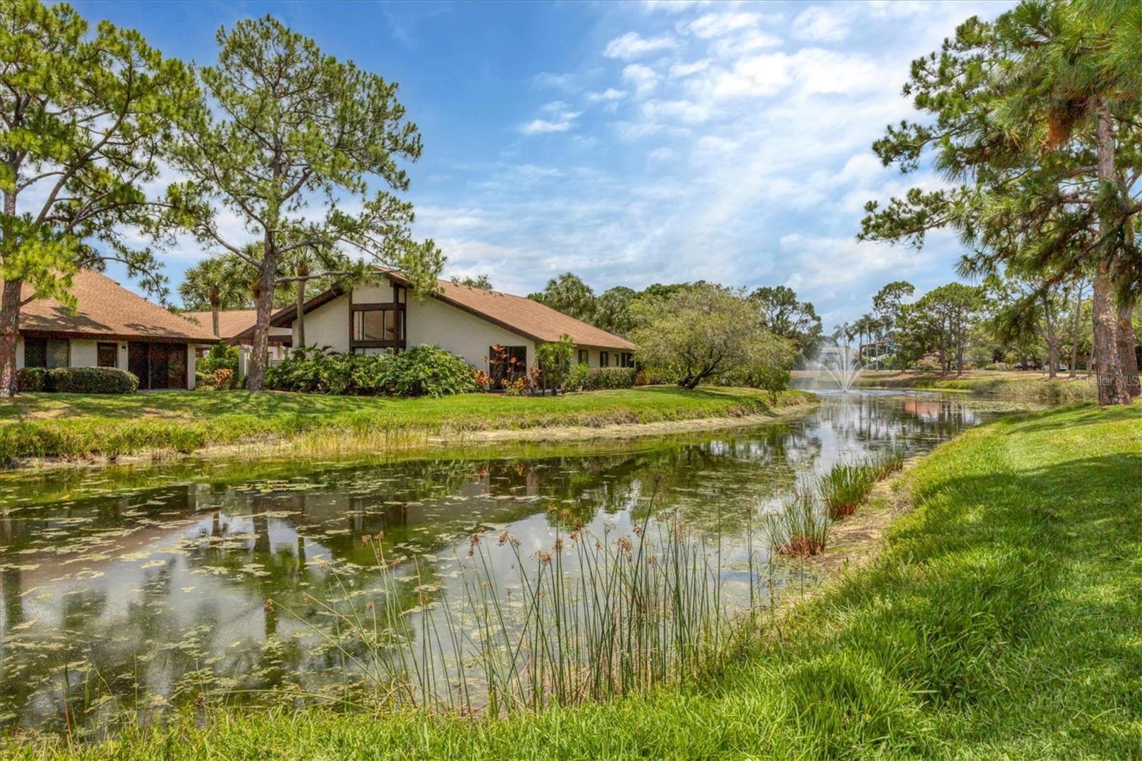 3107 WINDRUSH BOURNE #63