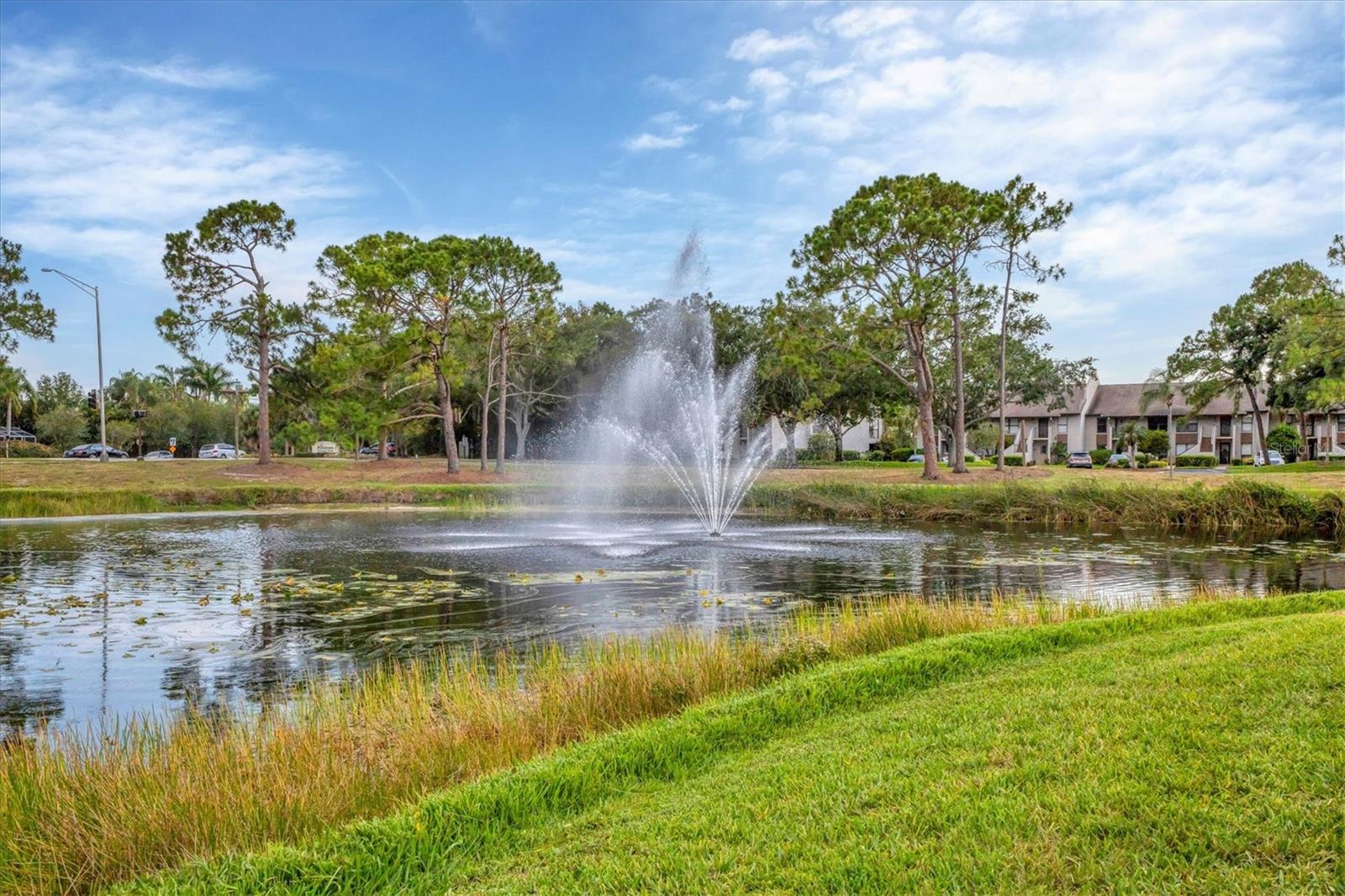 3107 WINDRUSH BOURNE #63