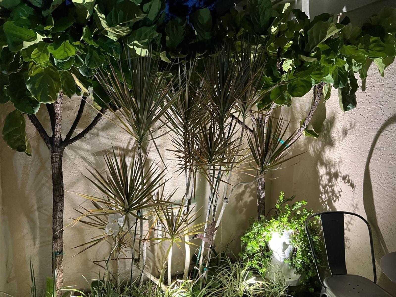 5572 CHANTECLAIRE #9