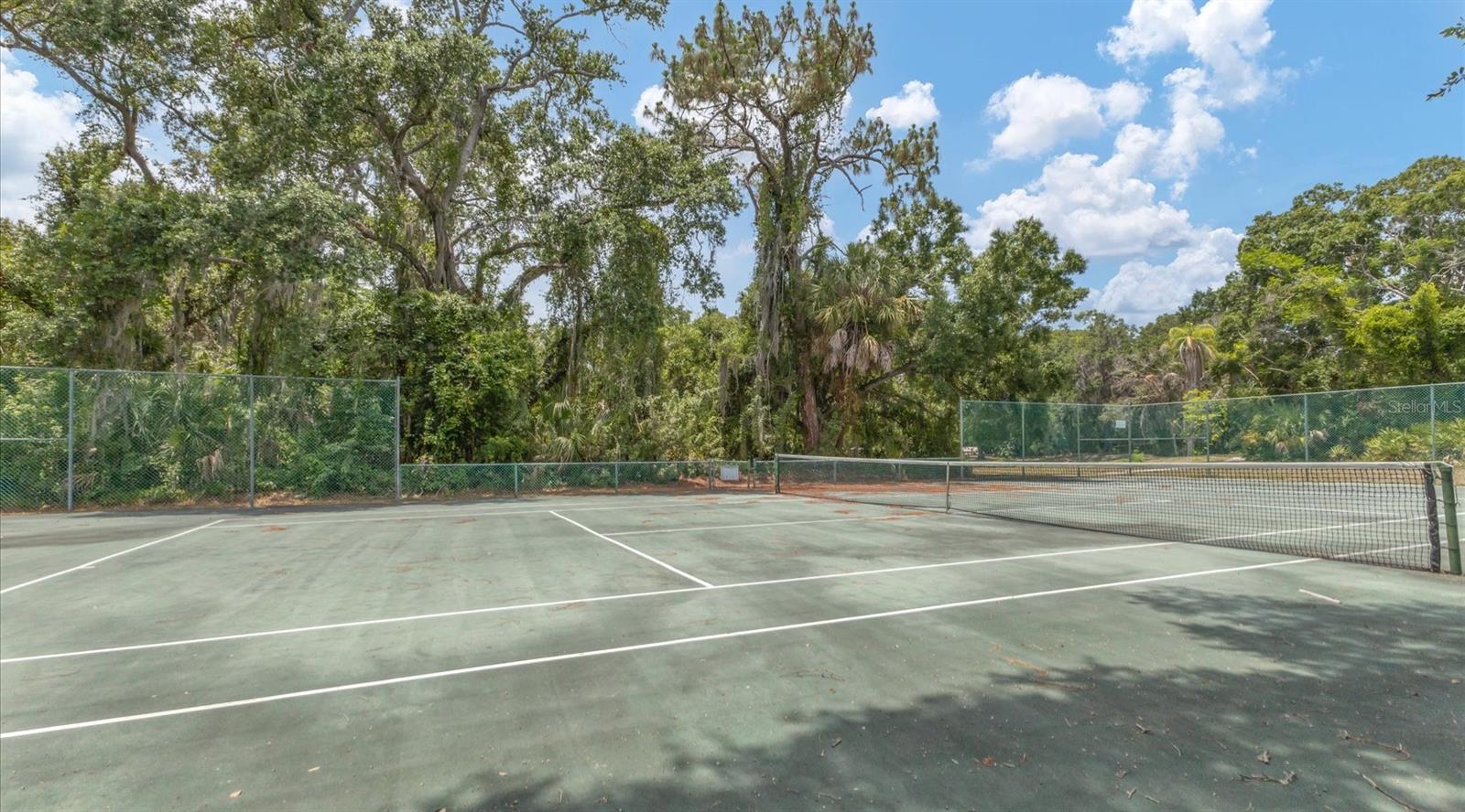 4372 WOODMANS CHART #143