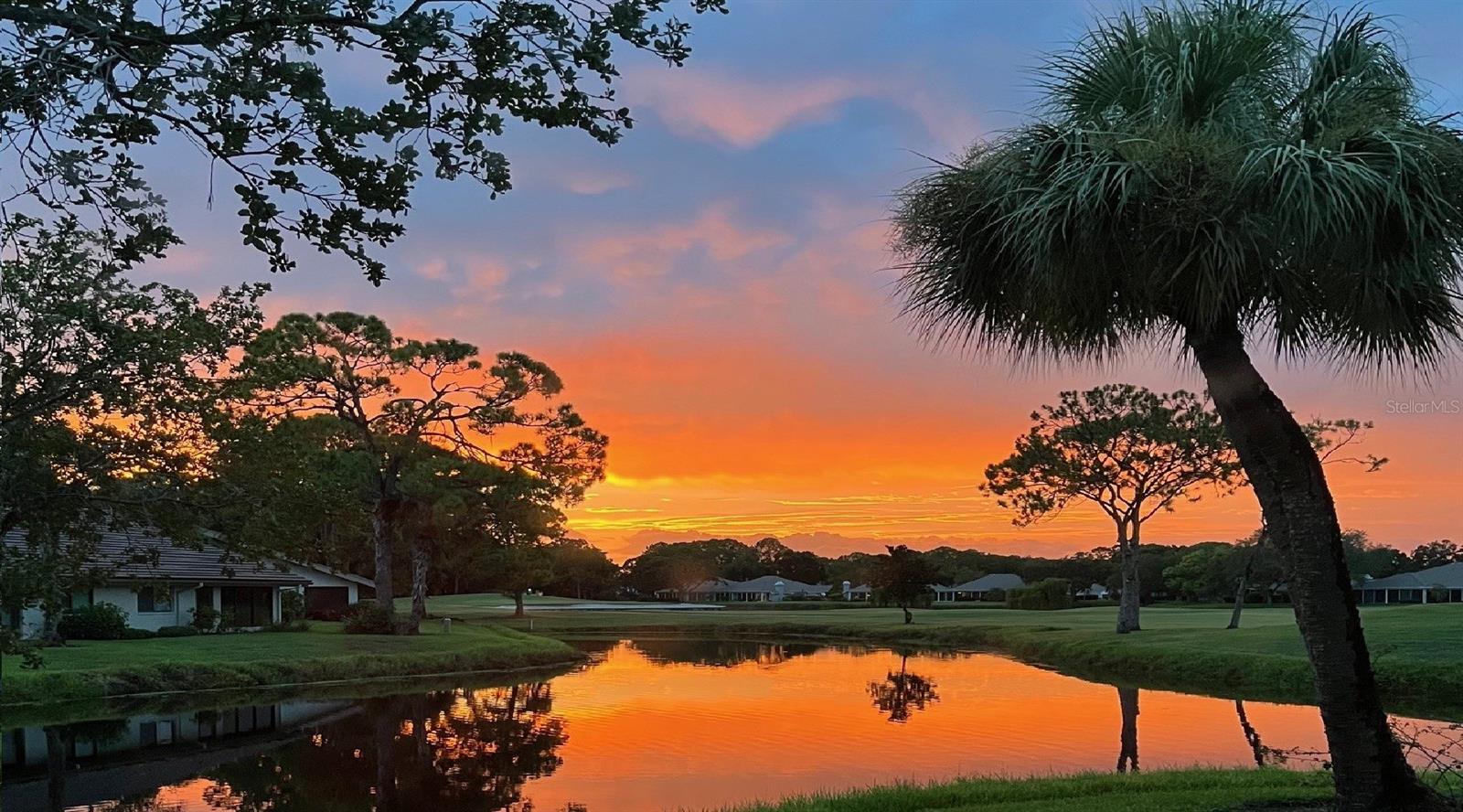 5688 PIPERS WAITE #50