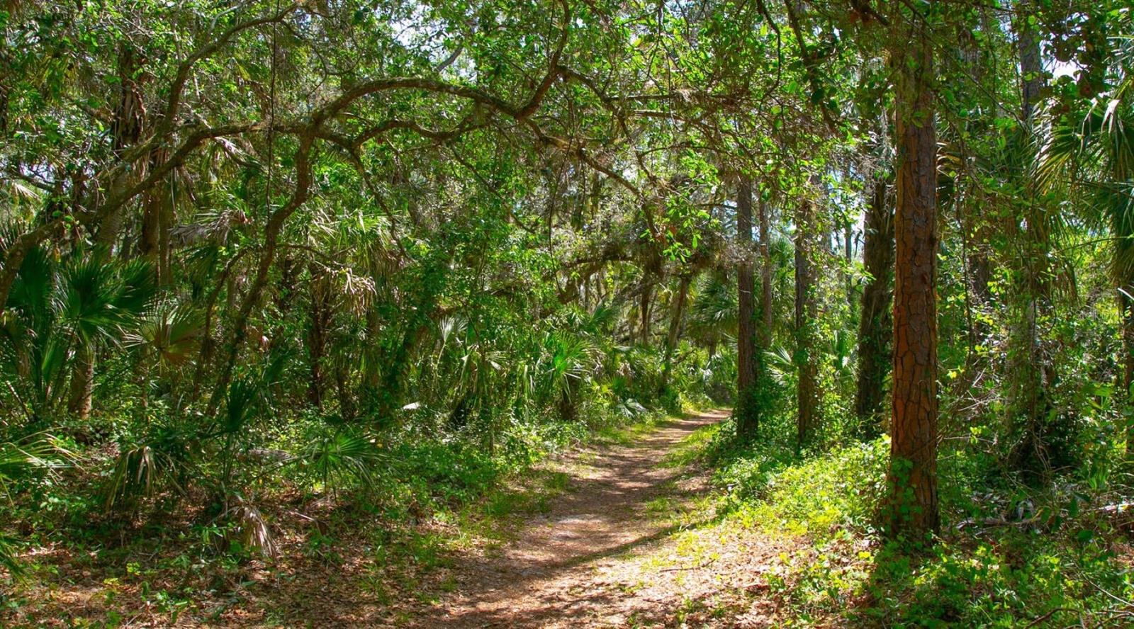 5688 PIPERS WAITE #50