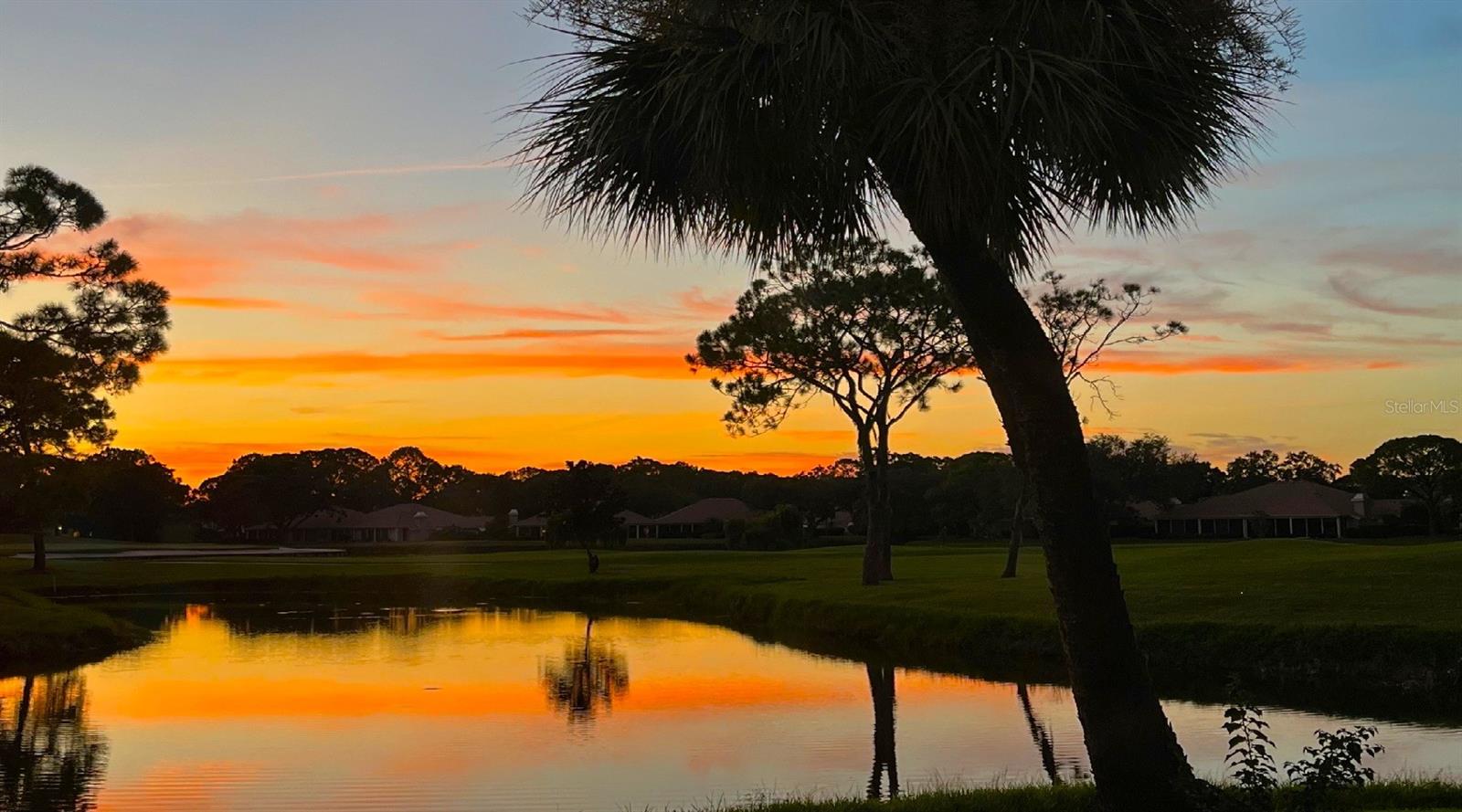 5688 PIPERS WAITE #50