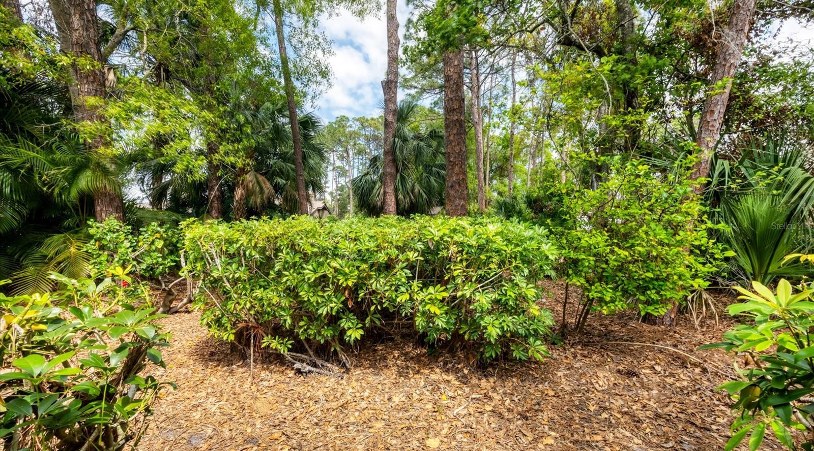 4701 CHANDLERS FORDE #22