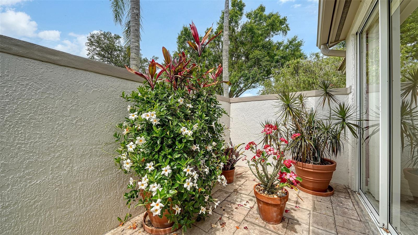 3933 CHATSWORTH GREENE #50