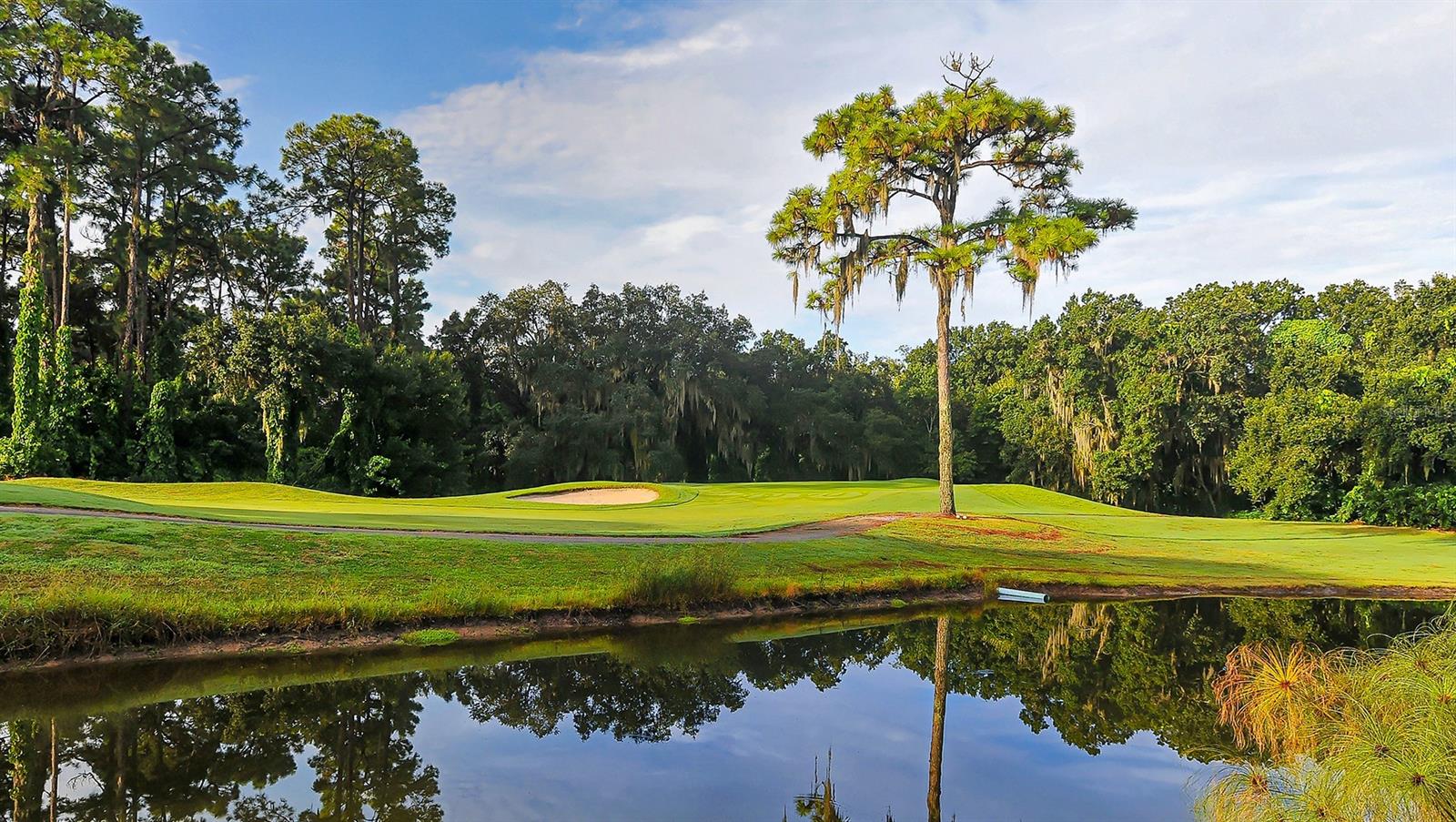 4396 WOODMANS CHART #146