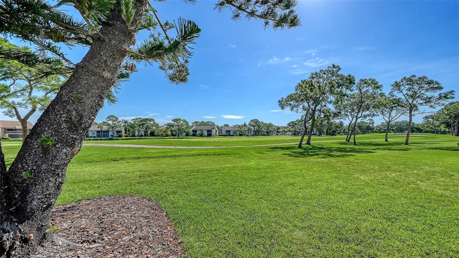 3131 HEATHERWOOD LN