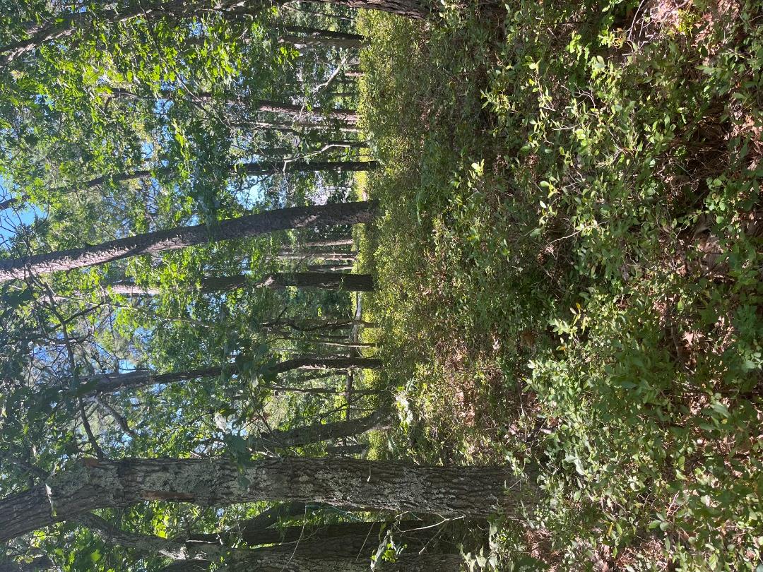 0 Crowell Lane Lot 9