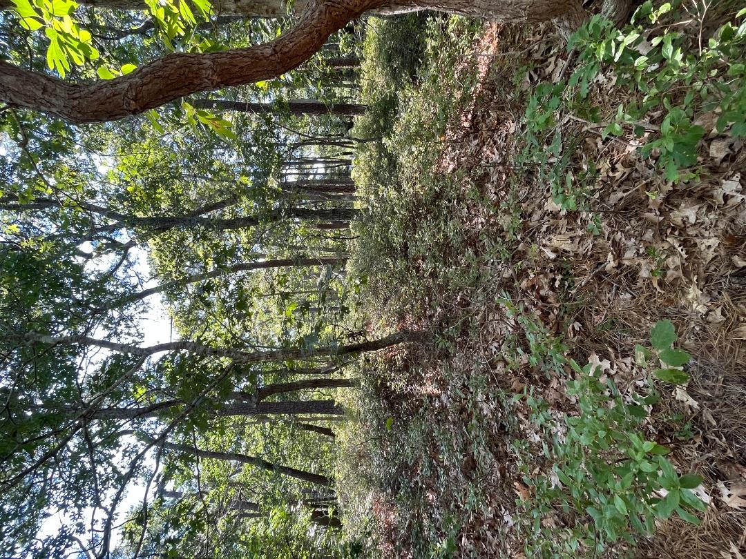 0 Crowell Lane Lot 9