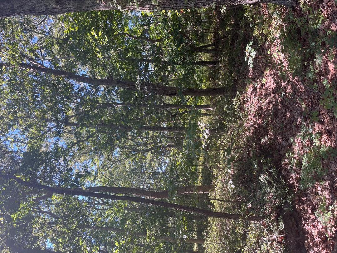 0 Crowell Lane Lot 9