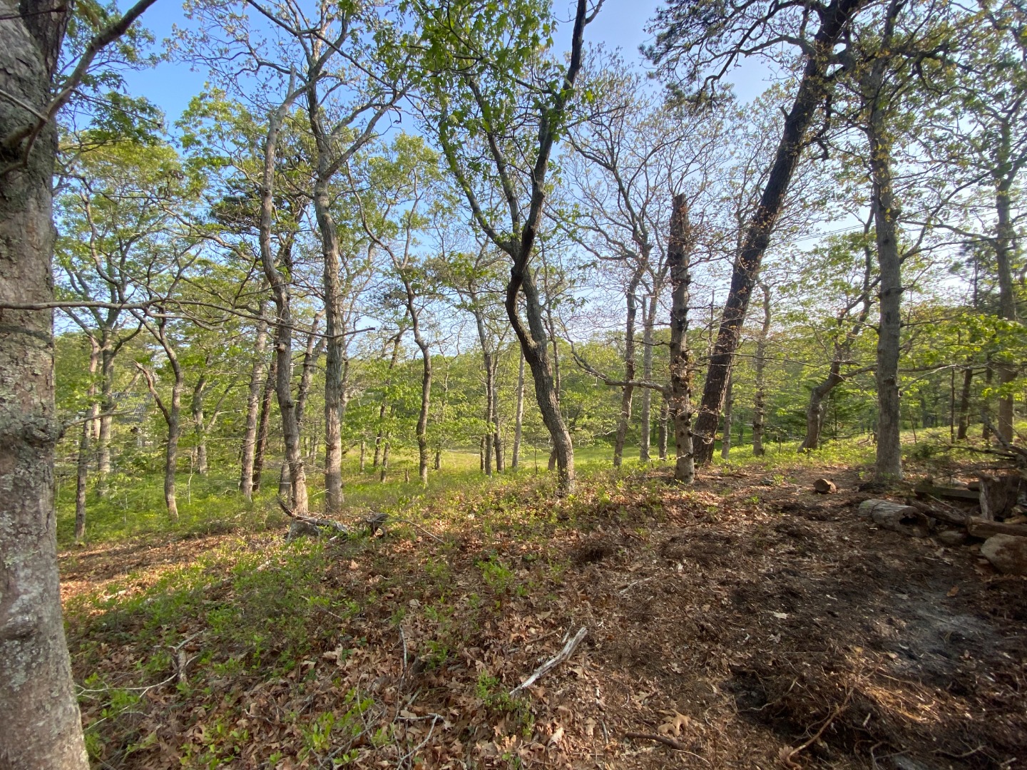 00 Crowell Lane - Lot 3.4