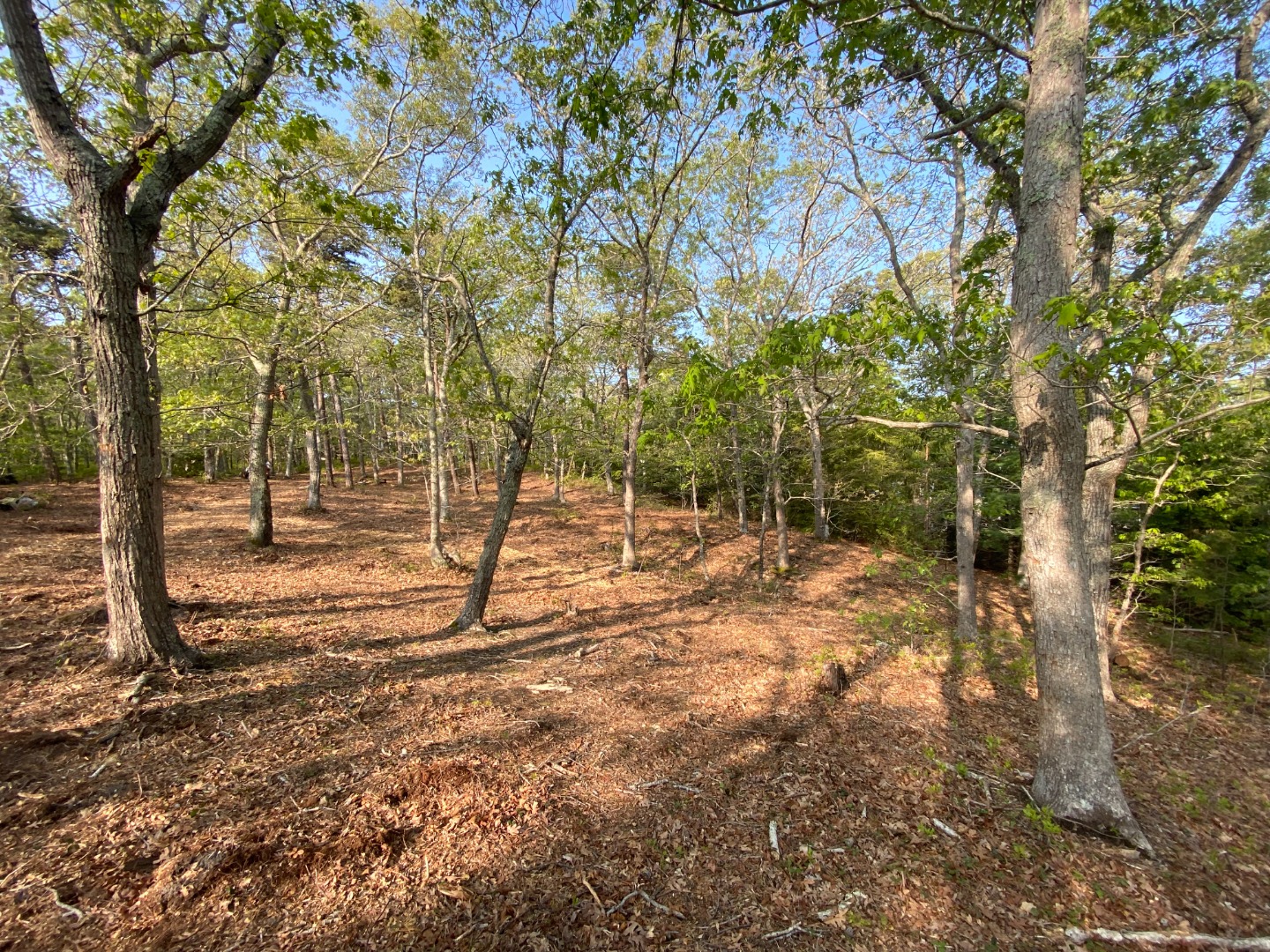 00 Crowell Lane - Lot 3.4