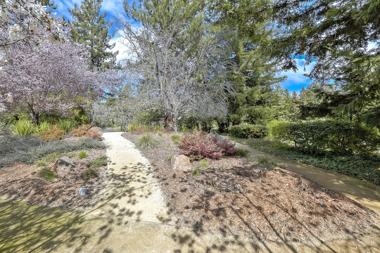 1202 Sharon Park Drive 71