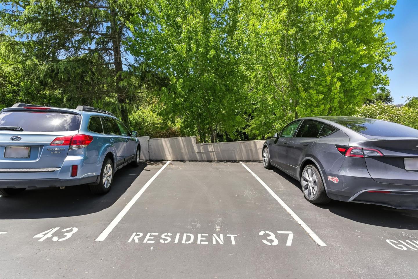 2313 Ticonderoga Drive