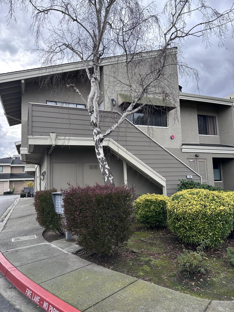 279 Bonita Lane