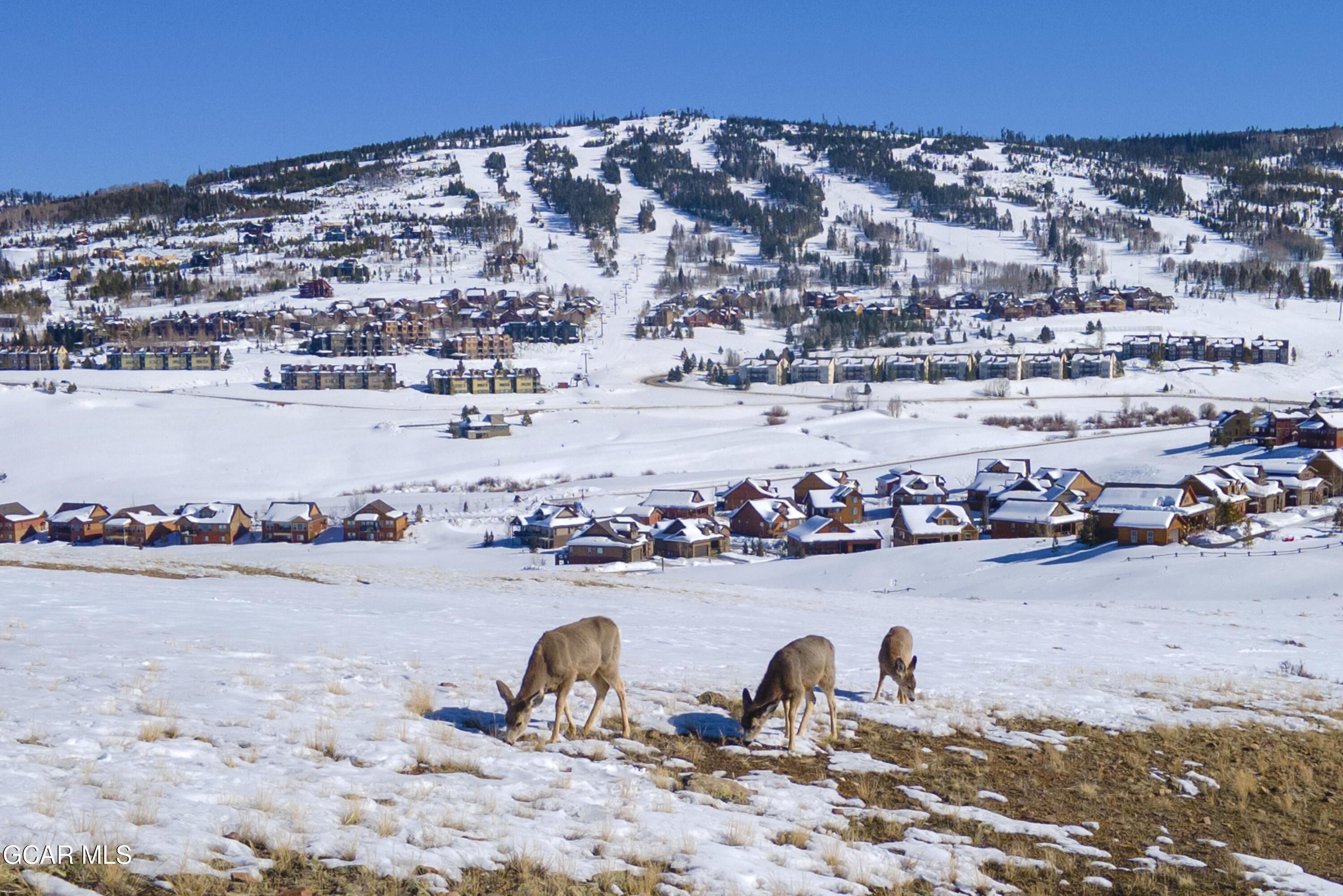 109 SADDLE MOUNTAIN CAMP Road