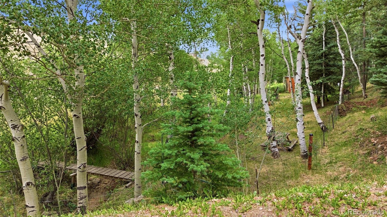 2668 Soda Creek Road