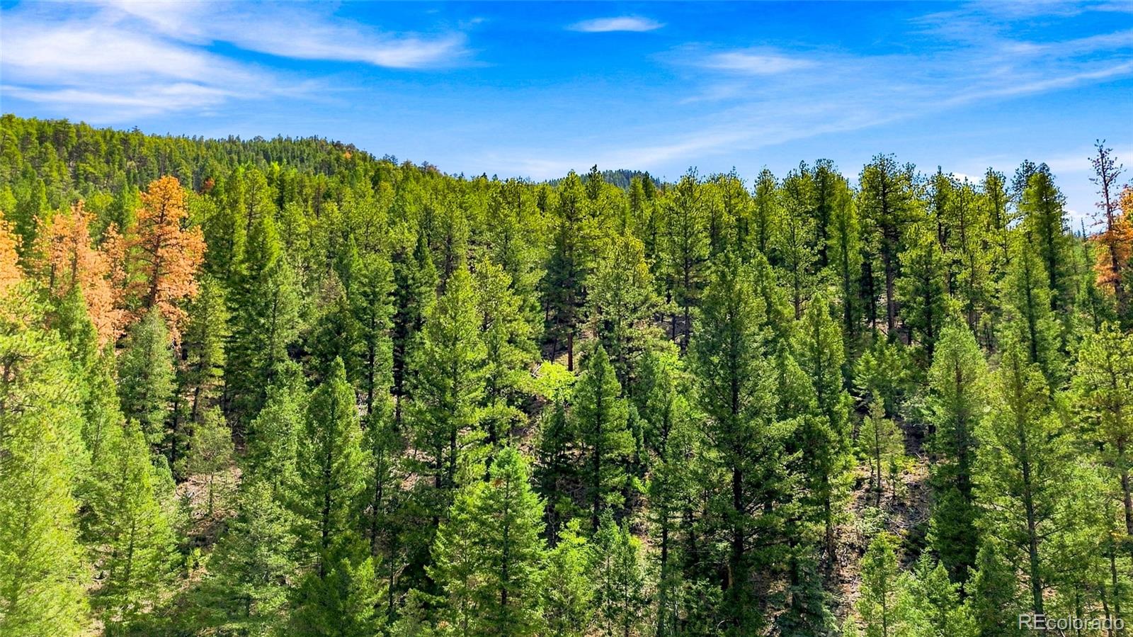 812 Soda Creek Road