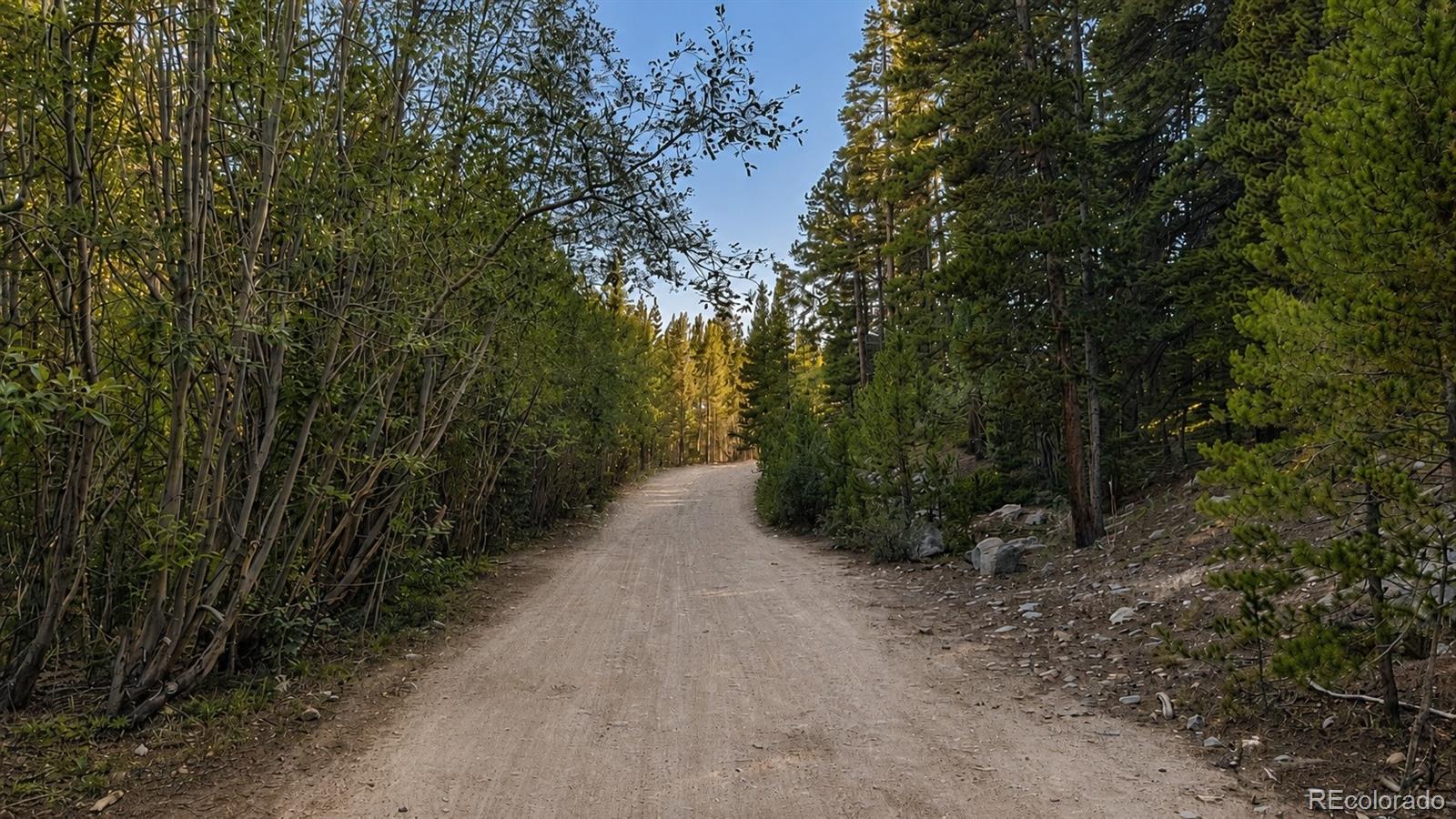 000 Steuart Road