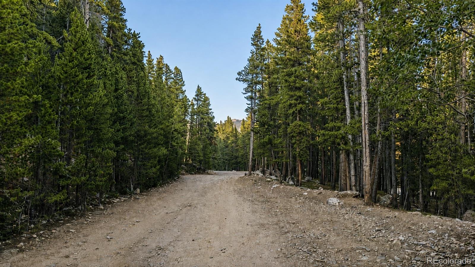 000 Steuart Road