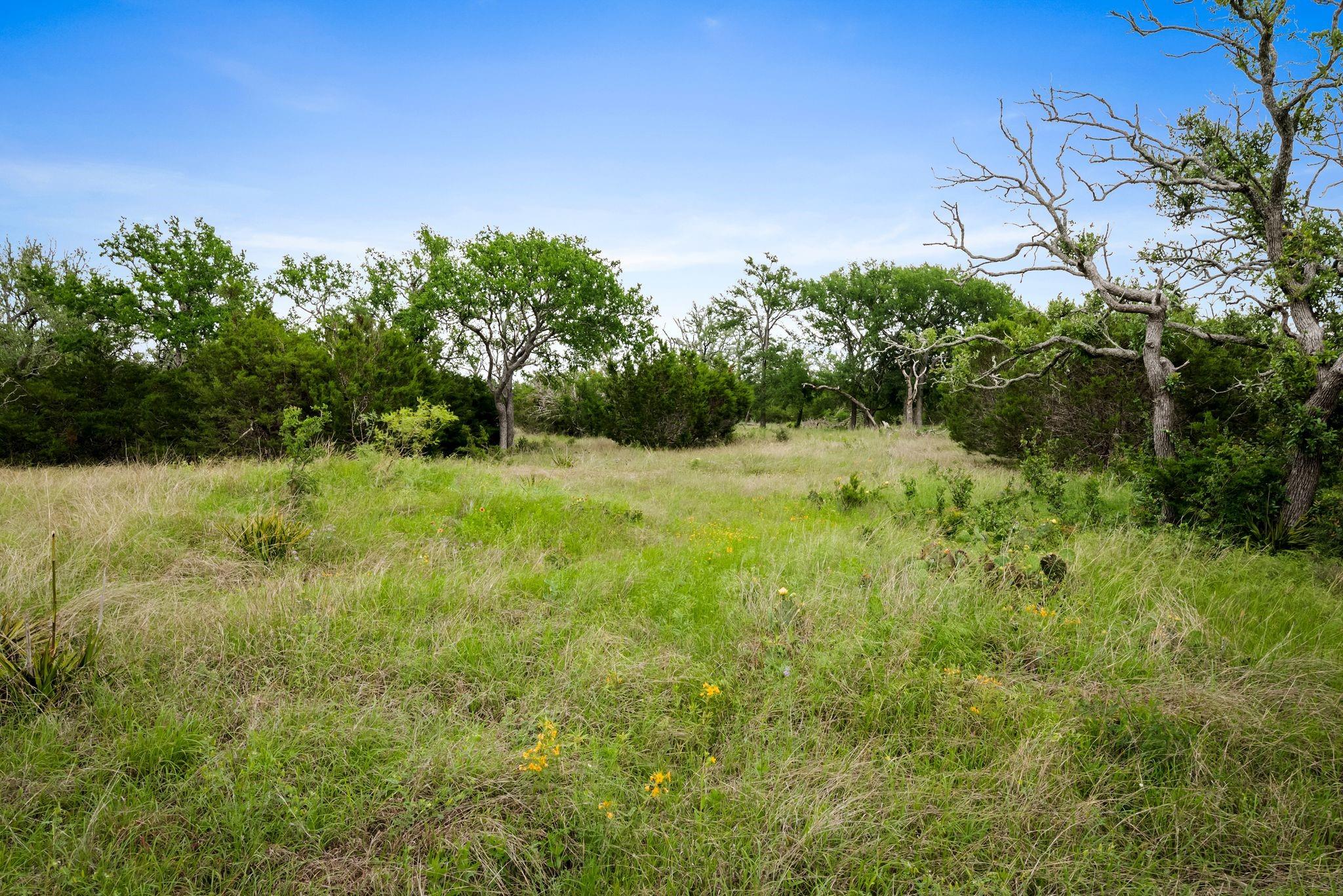 428 County Road 326a