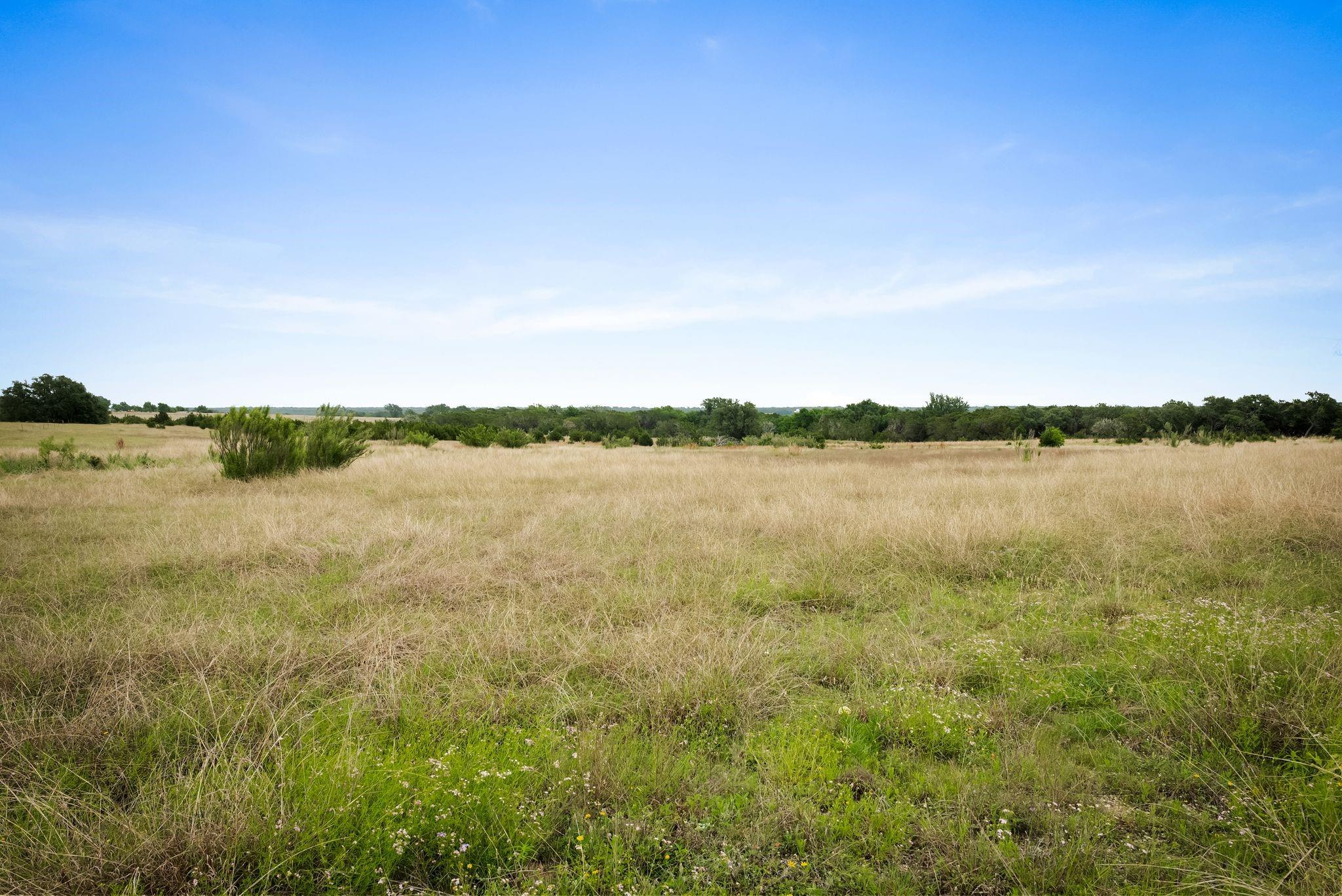 428 County Road 326a