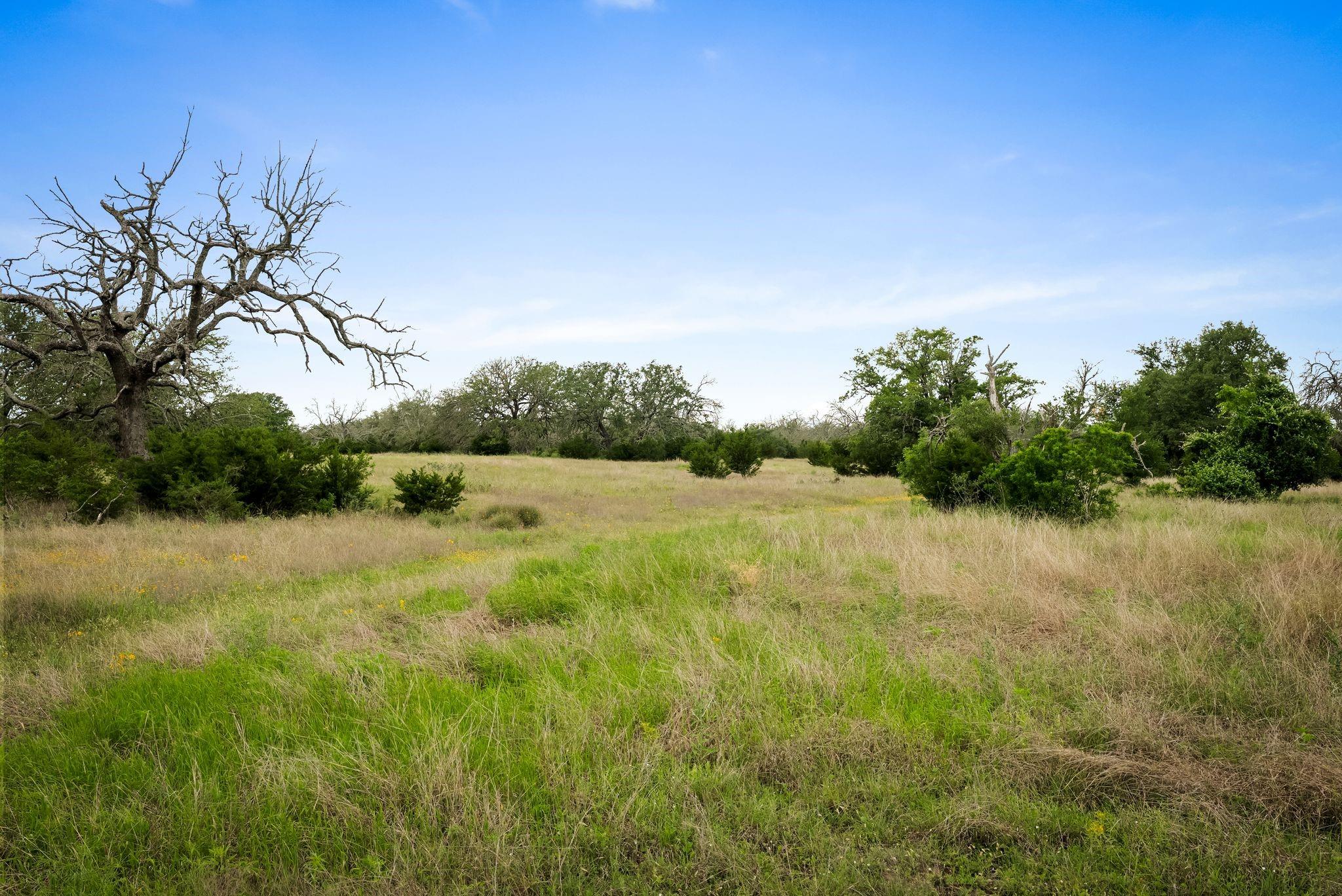 428 County Road 326a