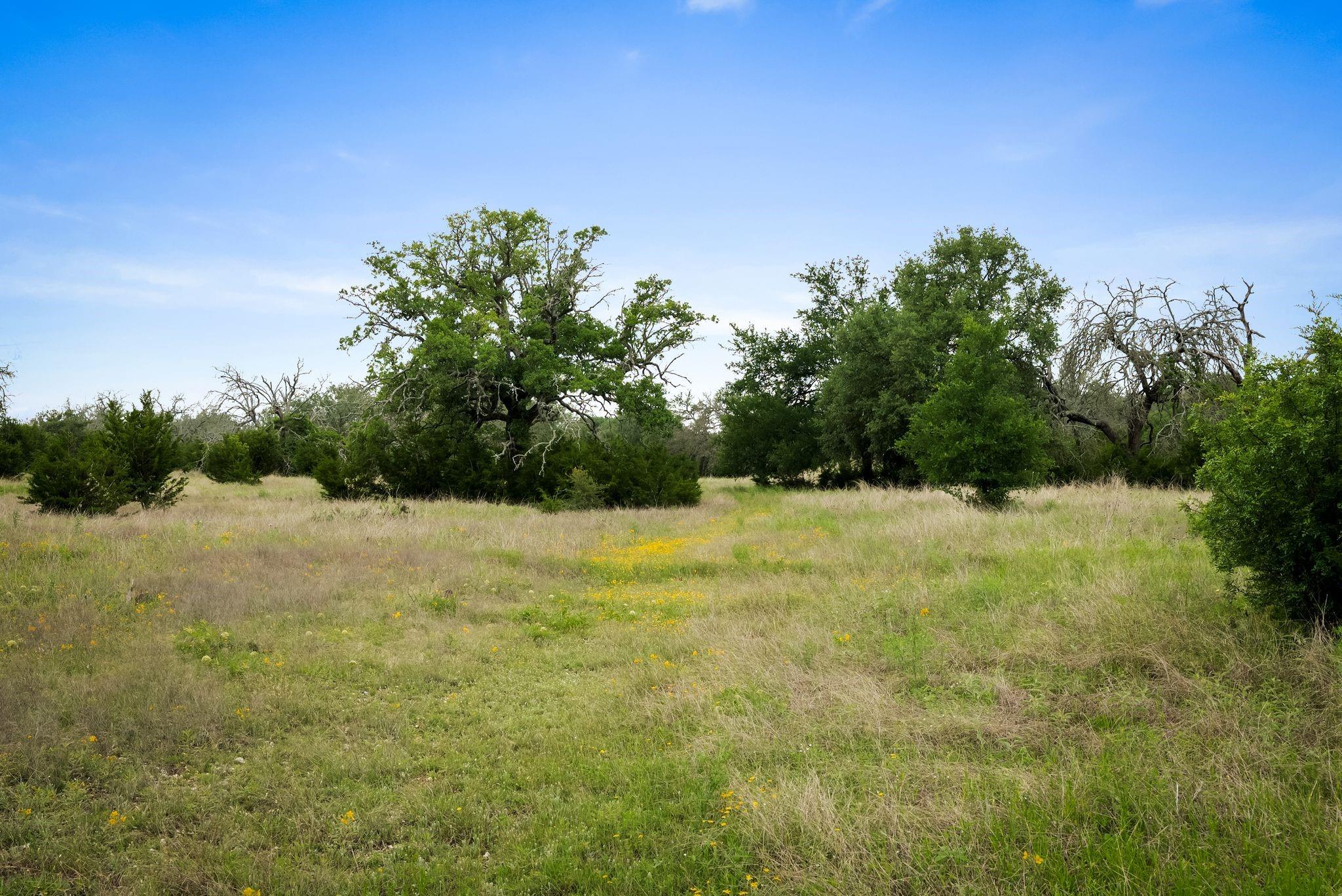 428 County Road 326a