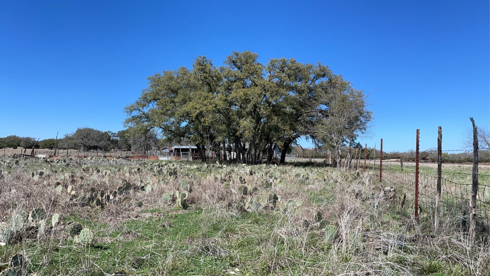 428 County Road 326a