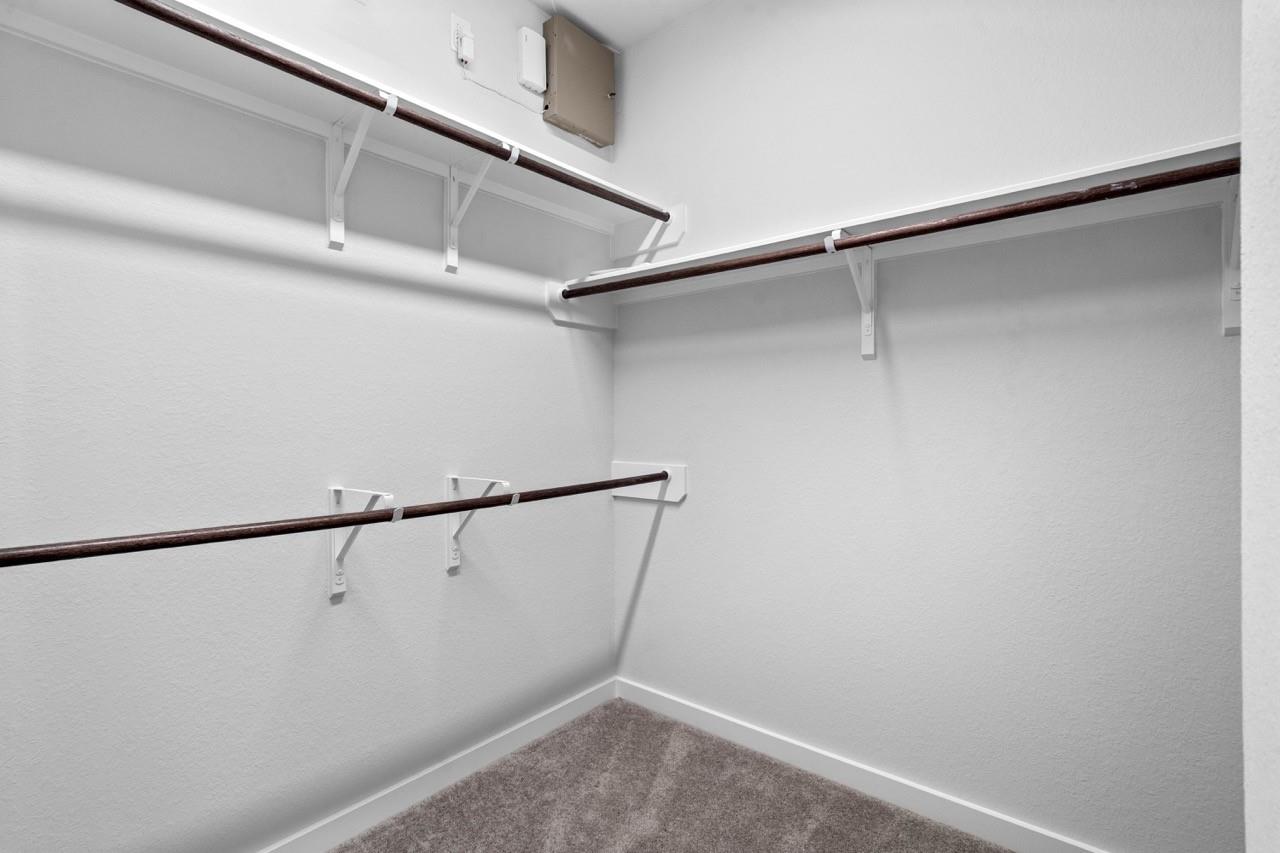 40203 Bay Warbler Way