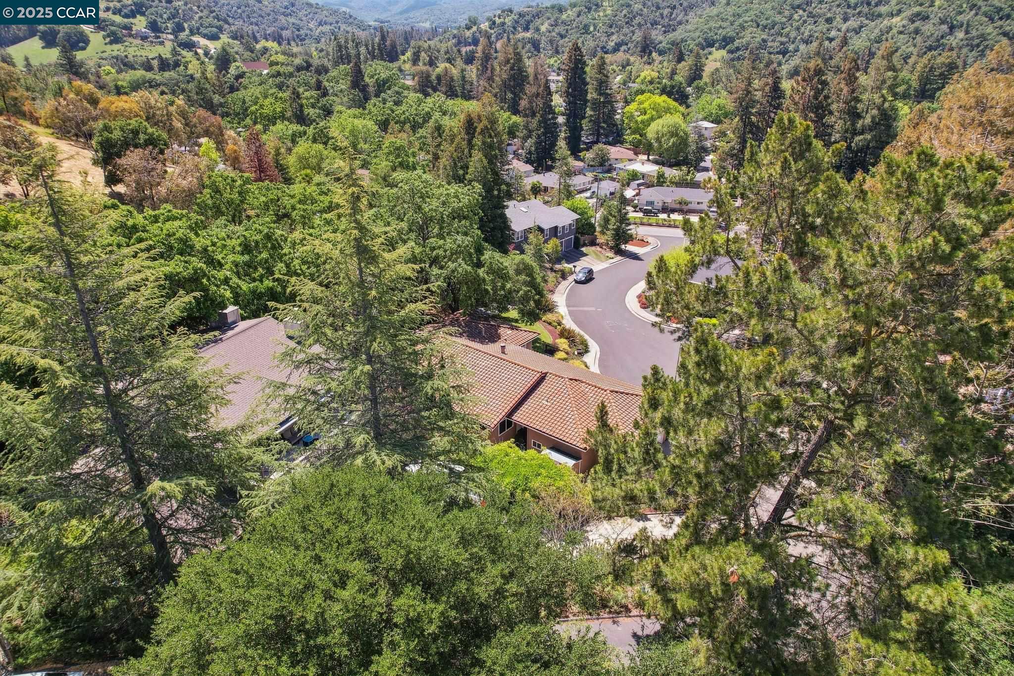 181 Donaleen Ct