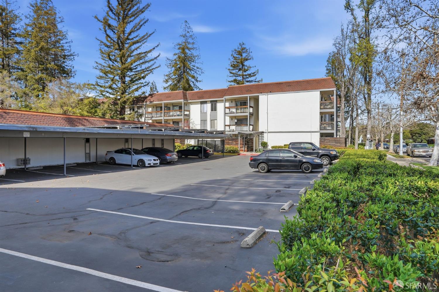 4081 Clayton Road # 235