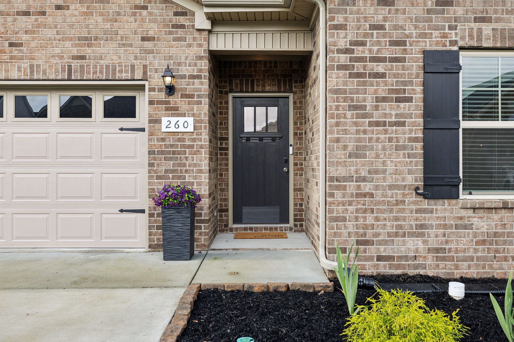 260 Thorpe Dr