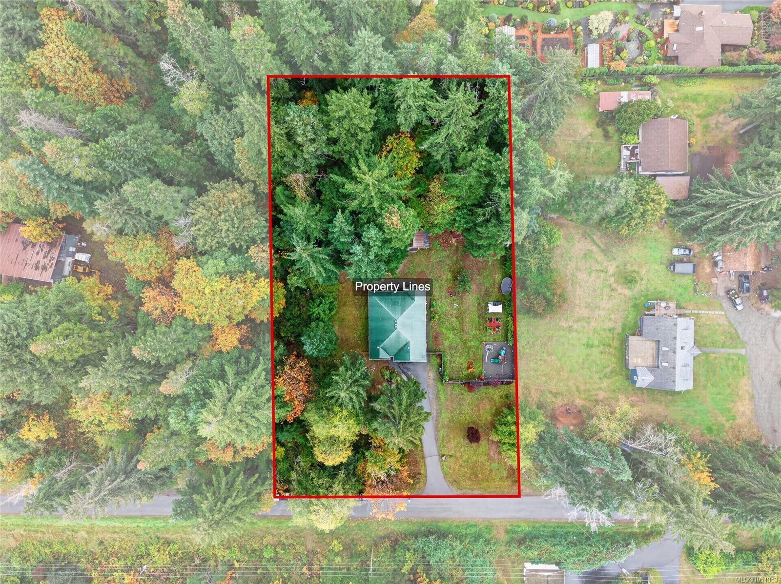 Aerial view of a wooded property with the house, driveway, and red boundary outline.