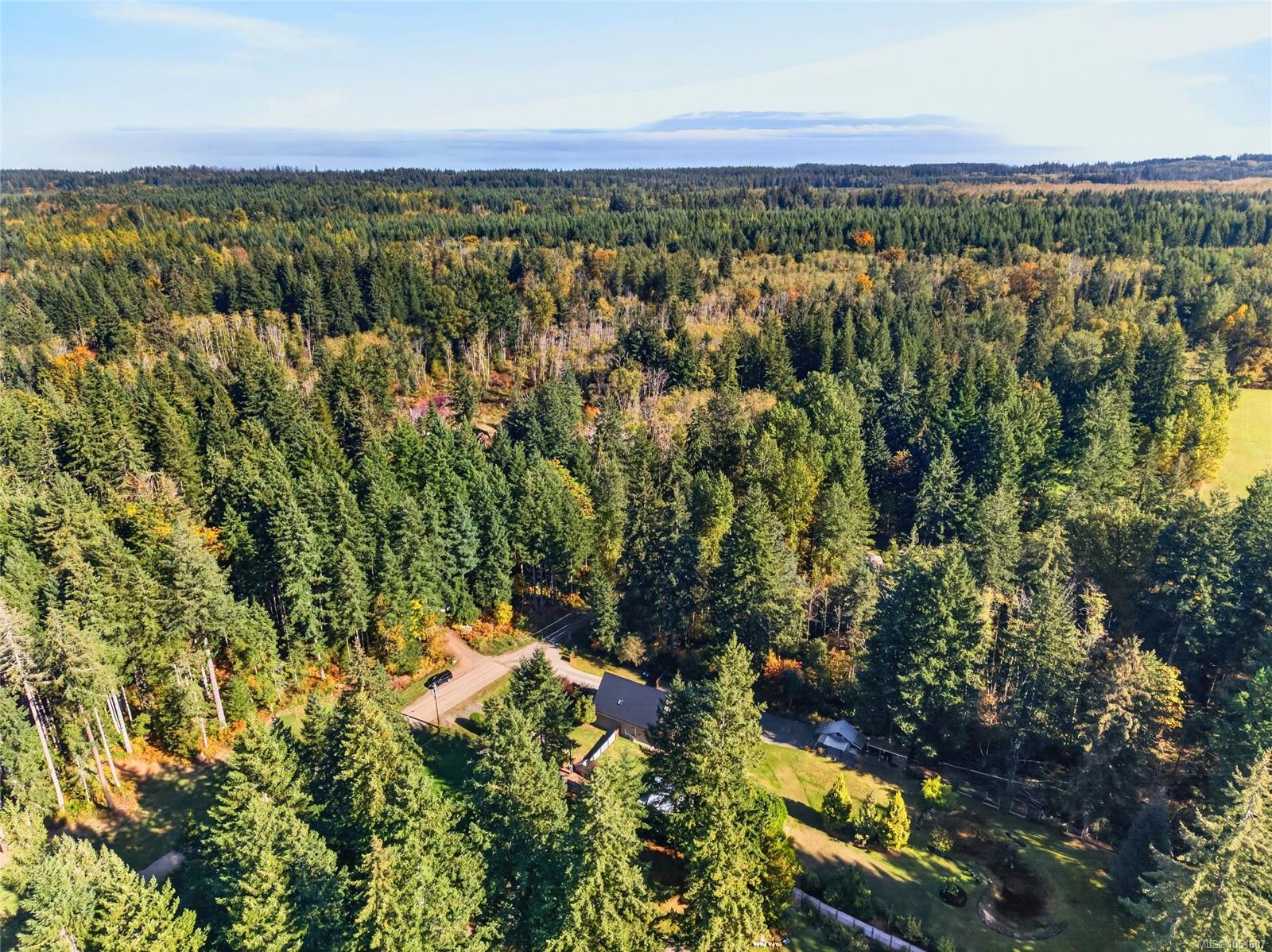 Aerial view of a home and driveway surrounded by autumn forest and evergreens.