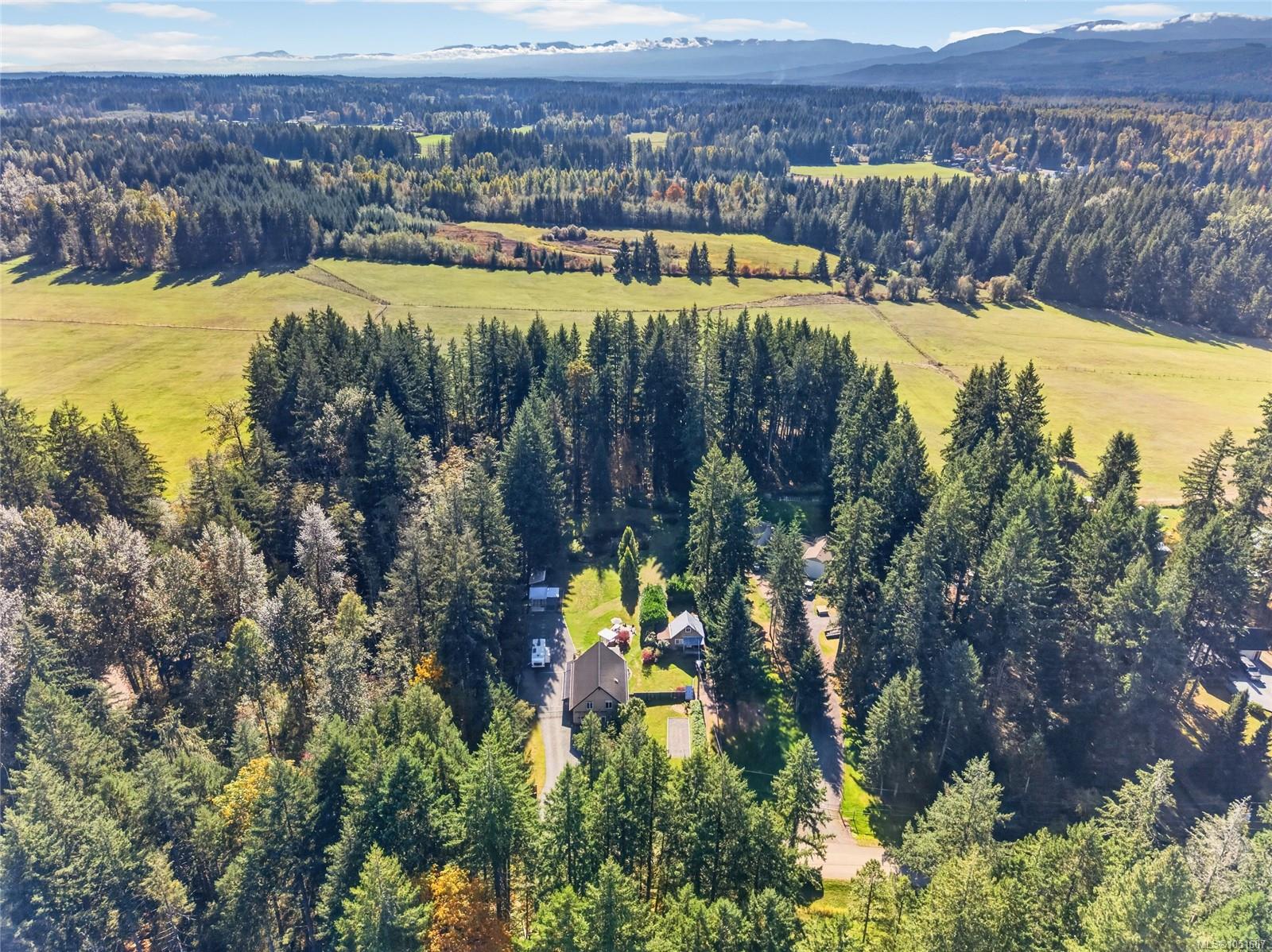 Aerial view of a rural property among evergreens, with open fields and distant mountains.