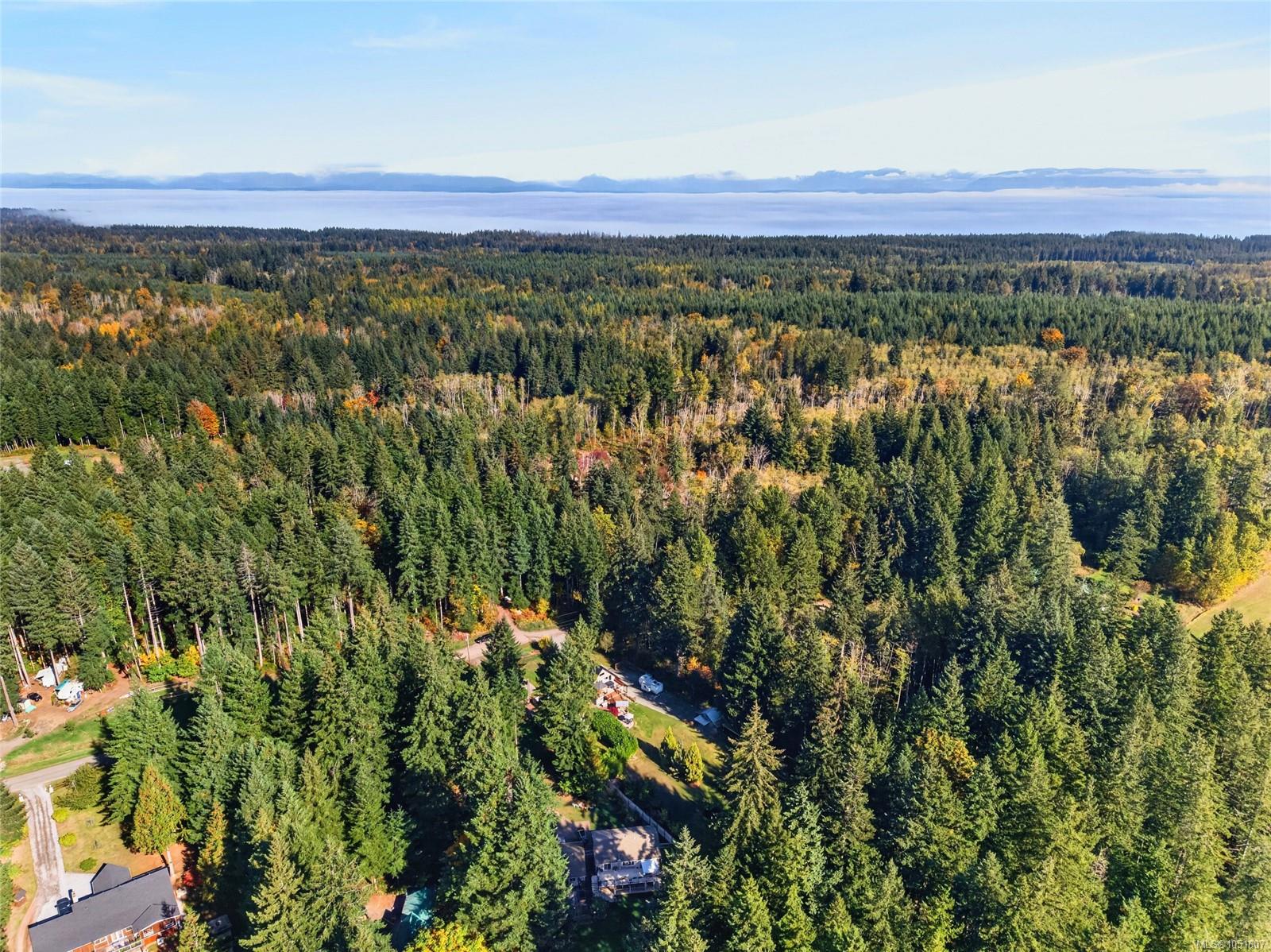 Aerial view of forested acreage and scattered homes, with autumn foliage and a foggy mountain horizon.
