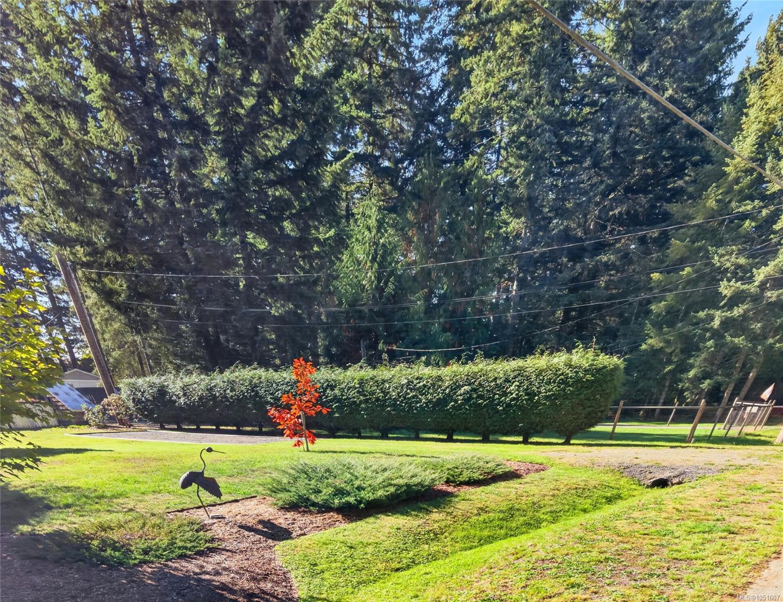 Landscaped yard with a broad lawn, clipped hedge, tall evergreens, and a metal bird sculpture.