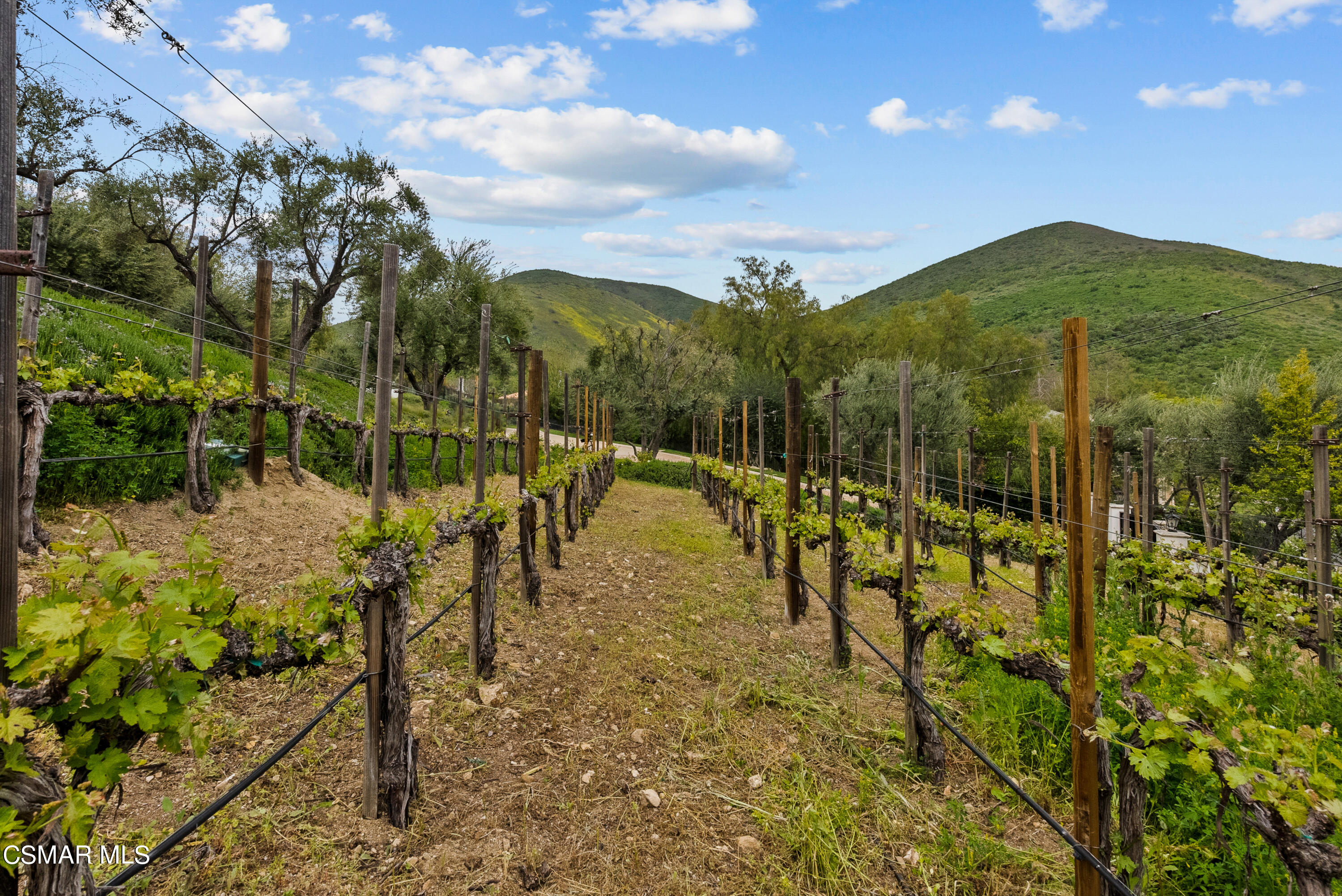 4787 Windhaven Drive